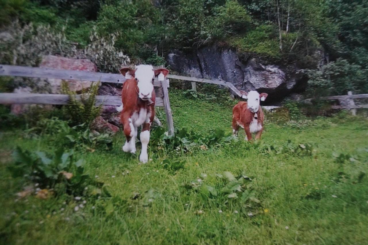 Appartamento Krandlhof Zell am Ziller Esterno foto