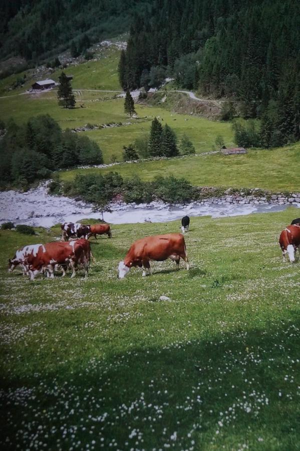 Appartamento Krandlhof Zell am Ziller Esterno foto