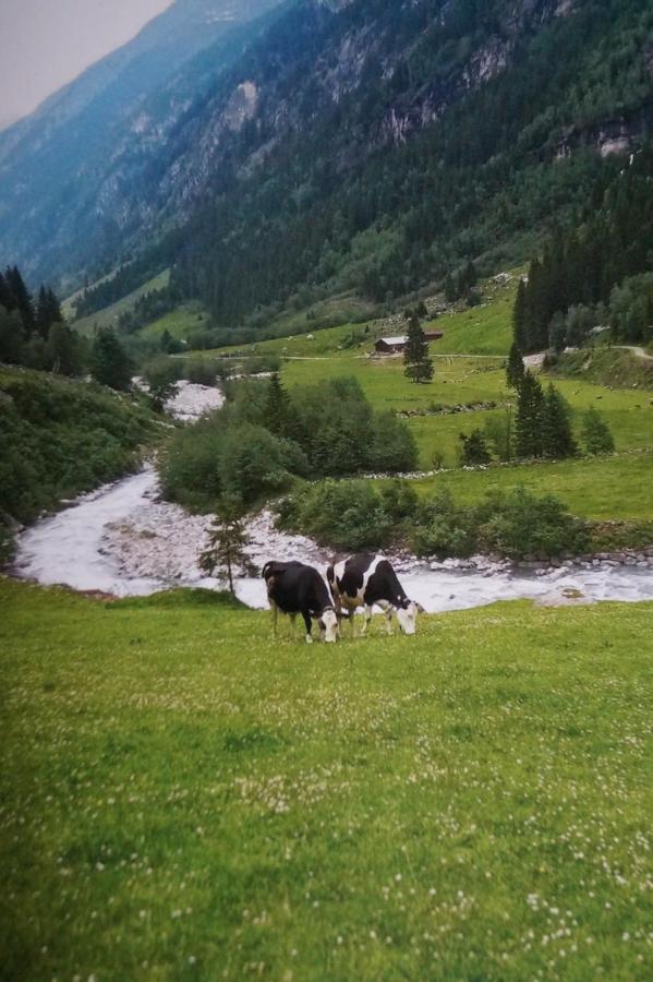 Appartamento Krandlhof Zell am Ziller Esterno foto